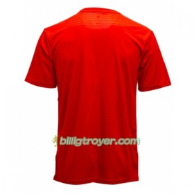 Billige Fotballdrakter Iran VM 2018 Bortedraktsett